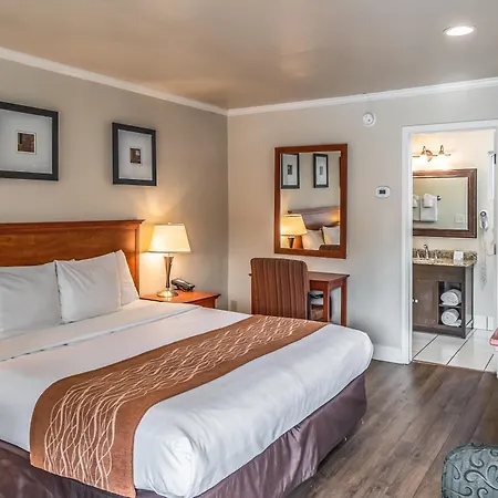The Inn At 1252 Monterey-3